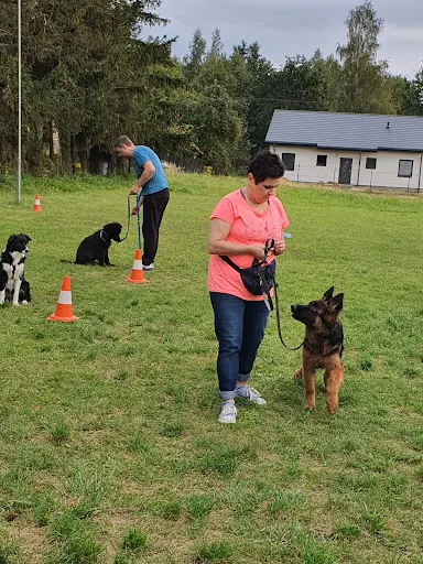 Balu Centrum Szkolenia Psów
